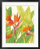 Framed Watercolor Tropical Flowers IV