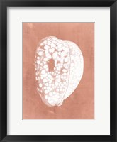 Sealife on Coral III Framed Print