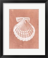 Sealife on Coral VII Framed Print