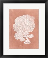 Sealife on Coral VIII Framed Print