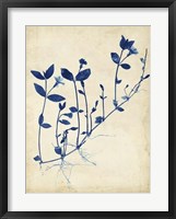 Indigo Leaf Study II Framed Print