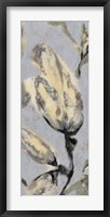 Framed Flower Bud Triptych III