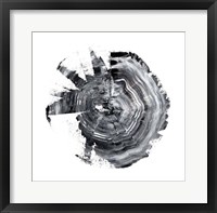 Tree Ring Abstract II Framed Print