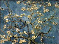 Framed Blossoming Almond Tree, Saint-Remy, c.1890