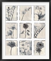 Framed Silk Botanicals