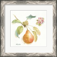 Framed 'Orchard Bloom II' border=