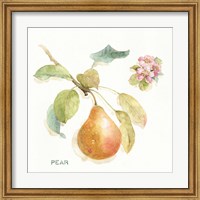 Framed 'Orchard Bloom II' border=