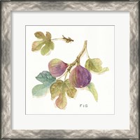 Framed 'Orchard Bloom III' border=