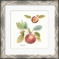 Framed 'Orchard Bloom IV' border=