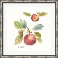 Framed 'Orchard Bloom IV' border=