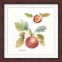 Framed 'Orchard Bloom IV' border=