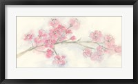 Cherry Blossom I Framed Print