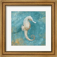 Framed 'Treasures from the Sea I Aqua' border=