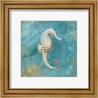 Framed 'Treasures from the Sea I Aqua' border=