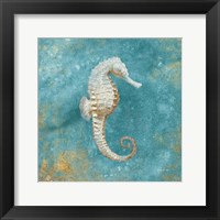 Treasures from the Sea I Aqua Framed Print