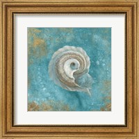 Framed 'Treasures from the Sea III Aqua' border=