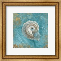 Framed 'Treasures from the Sea III Aqua' border=