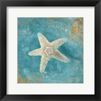 Treasures from the Sea IV Aqua Framed Print