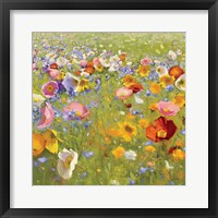 Champ de Fleur I Framed Print