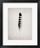 Feather IV BW Framed Print