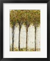 Framed Apple Orchard I