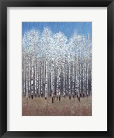Cobalt Birches I Framed Print