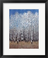 Cobalt Birches II Framed Print
