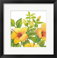 Watercolor Hibiscus I Framed Print