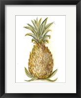 Framed Pineapple Sketch I