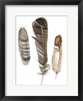 Earthtone Feathers I Framed Print