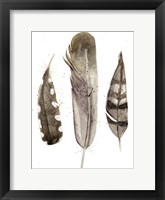 Earthtone Feathers II Framed Print