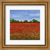 Framed Field of Poppies I