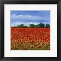 Framed Field of Poppies II