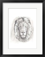 Big Cat Study III Framed Print