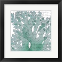 Aqua Marine III Framed Print