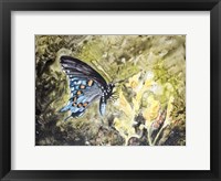 Butterfly in Nature I Framed Print