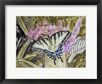 Butterfly in Nature II Framed Print