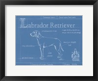 Framed Blueprint Labrador Retriever