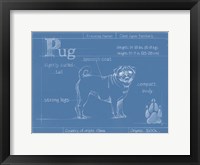 Blueprint Pug Framed Print