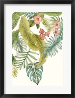 Soft Tropics II Framed Print