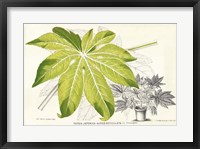 Framed Fern Leaf Foliage I