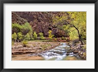 Framed Zion Autumn I