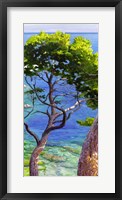 Lavandou II Framed Print