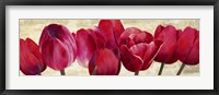 Framed Red Tulips