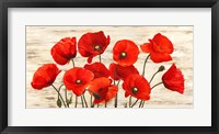 Framed French Poppies