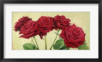 Framed Rose Rosse