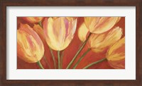 Framed Orange Tulips