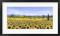 Framed Girasoli