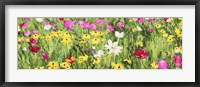 Framed Field of Flowers (Detail)