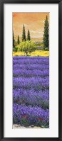 Framed Pomeriggio tra la Lavanda